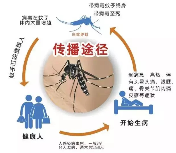 搜狗截图17年09月19日1923\_101.jpg