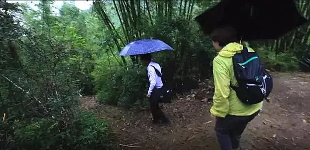 1521452016586424.jpg 640.webp (66).jpg